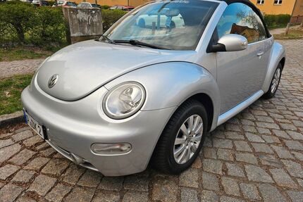VW Beetle Gebrauchtwagen