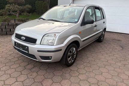 Ford Fusion Gebrauchtwagen