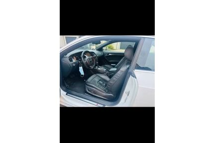 Audi S5 Gebrauchtwagen