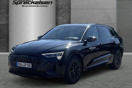 Audi Q8 e-tron Gebrauchtwagen