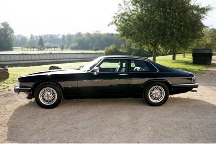 Jaguar XJS Gebrauchtwagen
