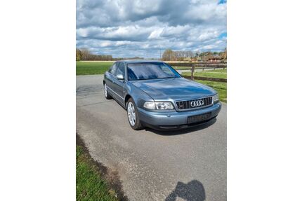 Audi S8 Gebrauchtwagen