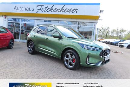 Ford Kuga Gebrauchtwagen