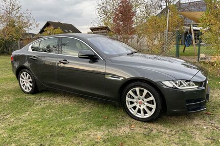 Jaguar XE Gebrauchtwagen
