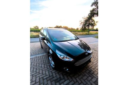 Ford S-Max Gebrauchtwagen