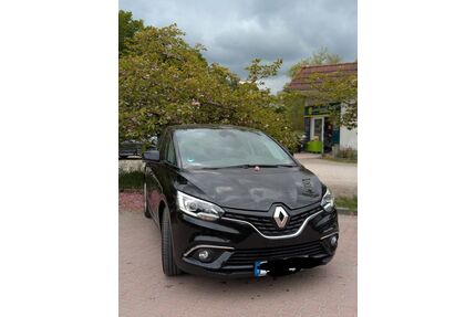 Renault Scenic Gebrauchtwagen