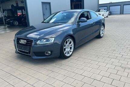 Audi A5 Gebrauchtwagen