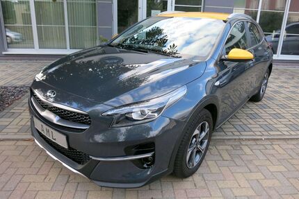 Kia XCeed Gebrauchtwagen