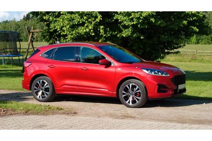 Ford Kuga Gebrauchtwagen