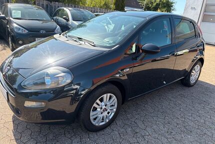 Fiat Punto Gebrauchtwagen