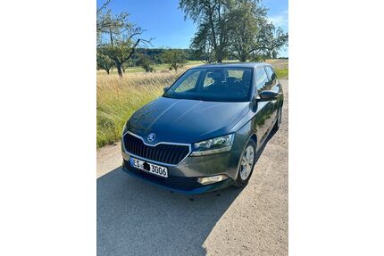 Skoda Fabia Gebrauchtwagen
