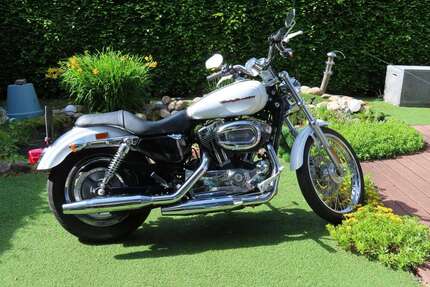 Harley Davidson 1200 Custom Gebrauchtwagen