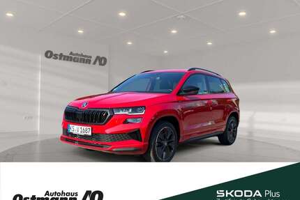 Skoda Karoq Gebrauchtwagen