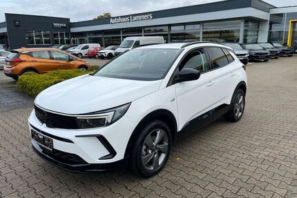 Opel Grandland (X) Gebrauchtwagen