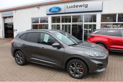 Ford Kuga Gebrauchtwagen
