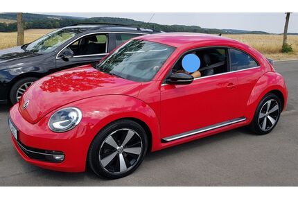 VW Beetle Gebrauchtwagen