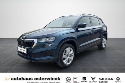 Skoda Karoq Gebrauchtwagen