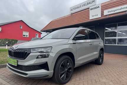 Skoda Karoq Gebrauchtwagen