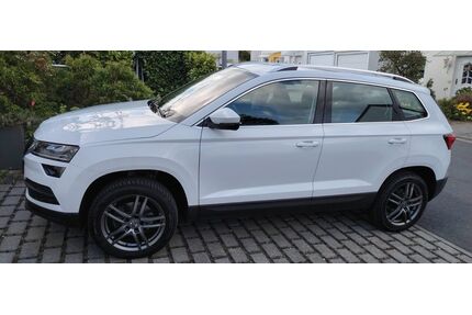 Skoda Karoq Gebrauchtwagen
