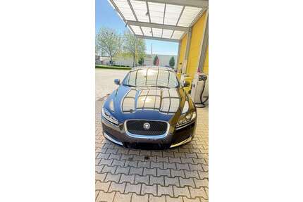 Jaguar XF Gebrauchtwagen