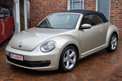 VW Beetle Gebrauchtwagen