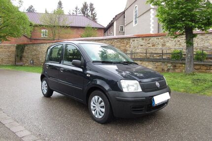 Fiat Panda Gebrauchtwagen