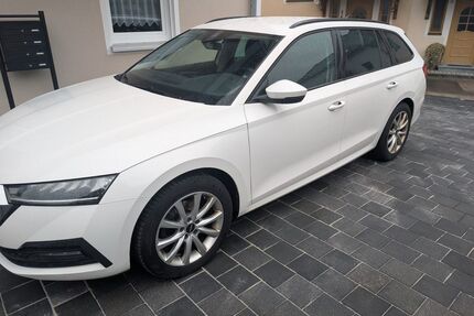 Skoda Octavia Gebrauchtwagen
