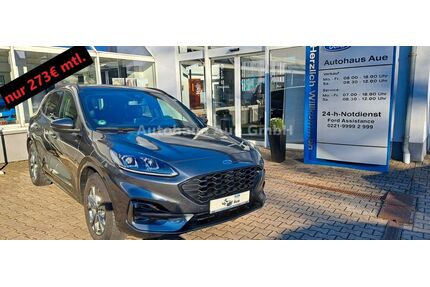 Ford Kuga Gebrauchtwagen