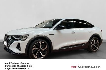 Audi Q8 e-tron Gebrauchtwagen
