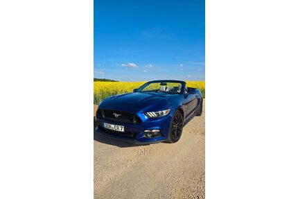 Ford Mustang Gebrauchtwagen