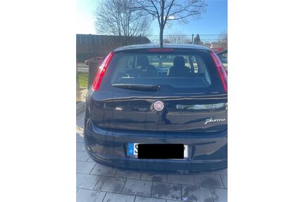 Fiat Punto Gebrauchtwagen