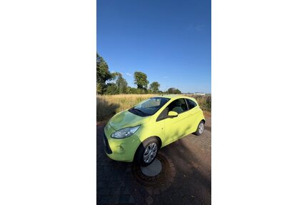Ford Ka/Ka+ Gebrauchtwagen