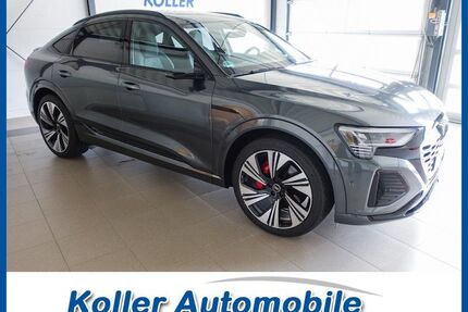 Audi Q8 e-tron Gebrauchtwagen