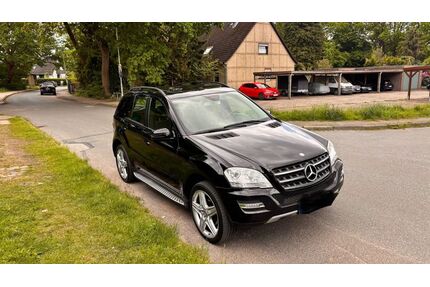 Mercedes-Benz ML 350 Gebrauchtwagen