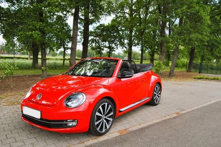 VW Beetle Gebrauchtwagen