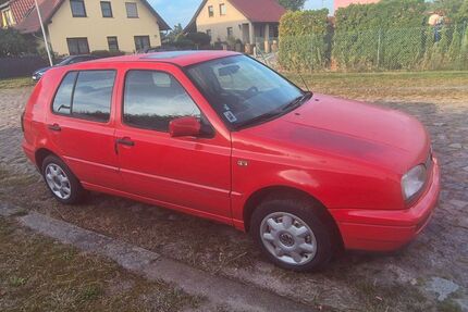 VW Golf Gebrauchtwagen