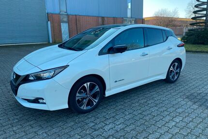Nissan Leaf Gebrauchtwagen