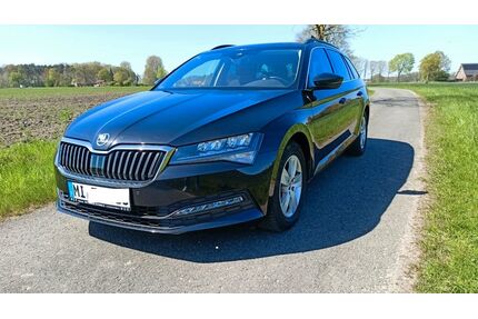 Skoda Superb Gebrauchtwagen