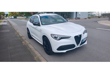 Alfa Romeo Stelvio Gebrauchtwagen