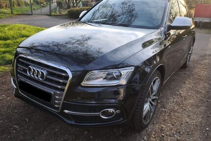 Audi SQ5 Gebrauchtwagen
