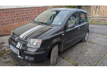 Fiat Panda Gebrauchtwagen