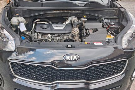 Kia Sportage Gebrauchtwagen