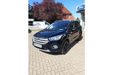 Ford Kuga Gebrauchtwagen