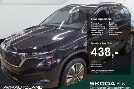 Skoda Karoq Gebrauchtwagen