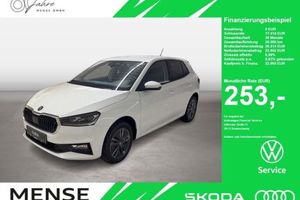 Skoda Fabia Gebrauchtwagen