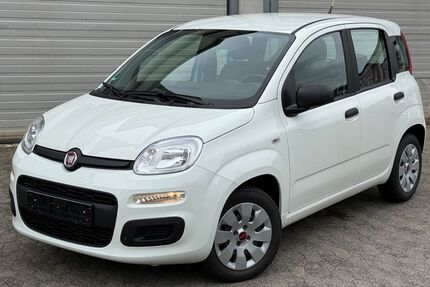 Fiat Panda Gebrauchtwagen