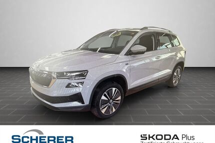 Skoda Karoq Gebrauchtwagen