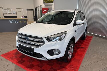 Ford Kuga Gebrauchtwagen