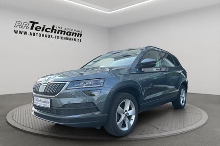 Skoda Karoq Gebrauchtwagen