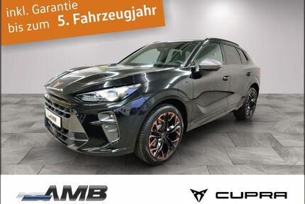 Cupra Terramar Gebrauchtwagen